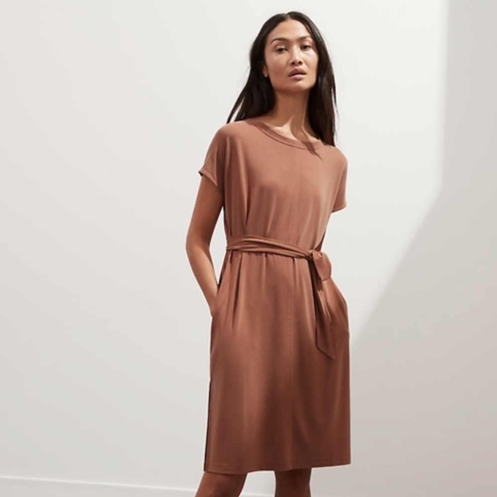 Banana Republic Sandwash Dress